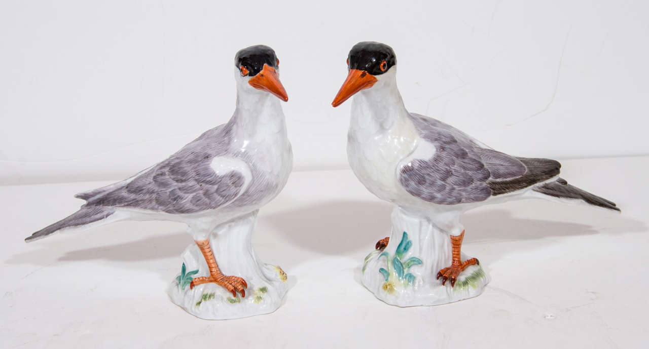 A pair of Superb Antique Meissen German finely hand painted polychromed enameled porcelain sculptures of birds.