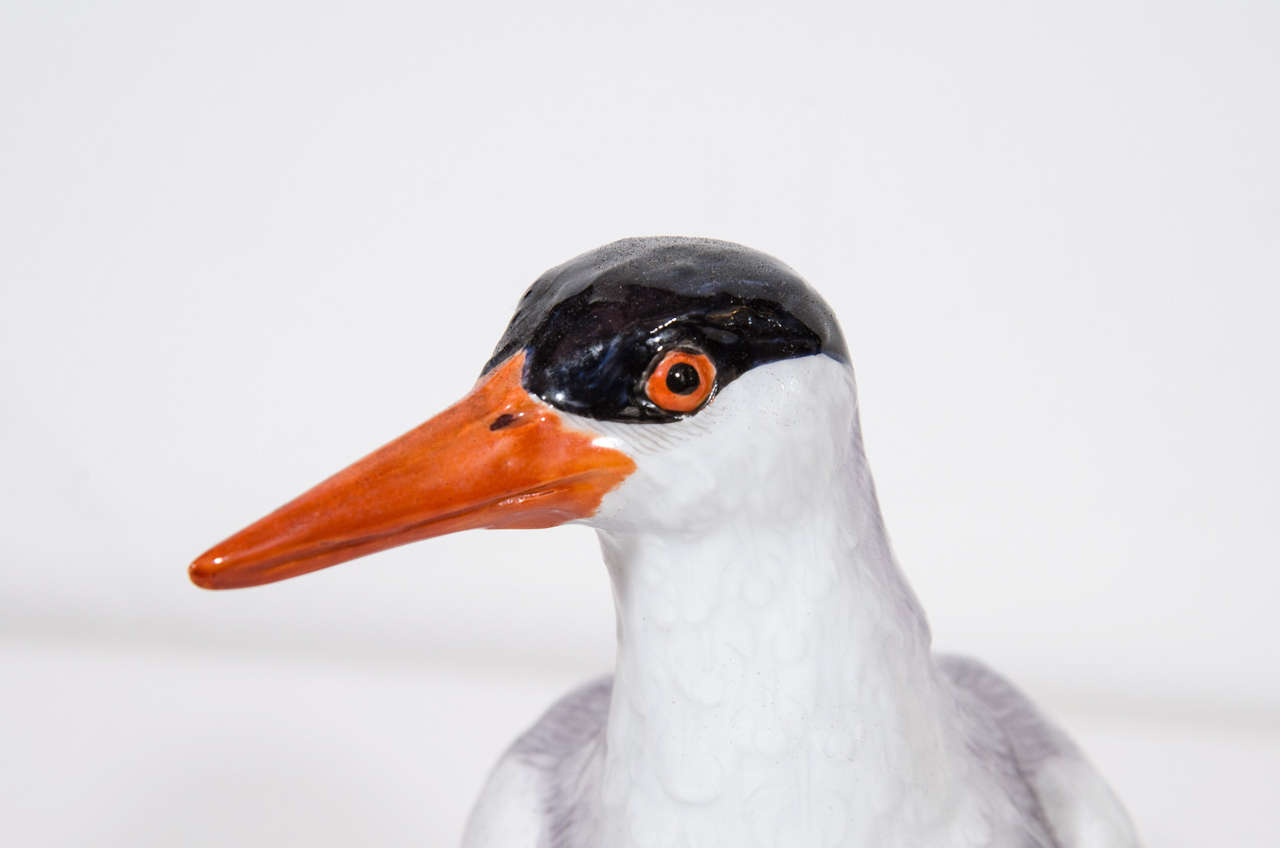 Allemand Paire de superbes oiseaux anciens en porcelaine allemande de Meissen en vente