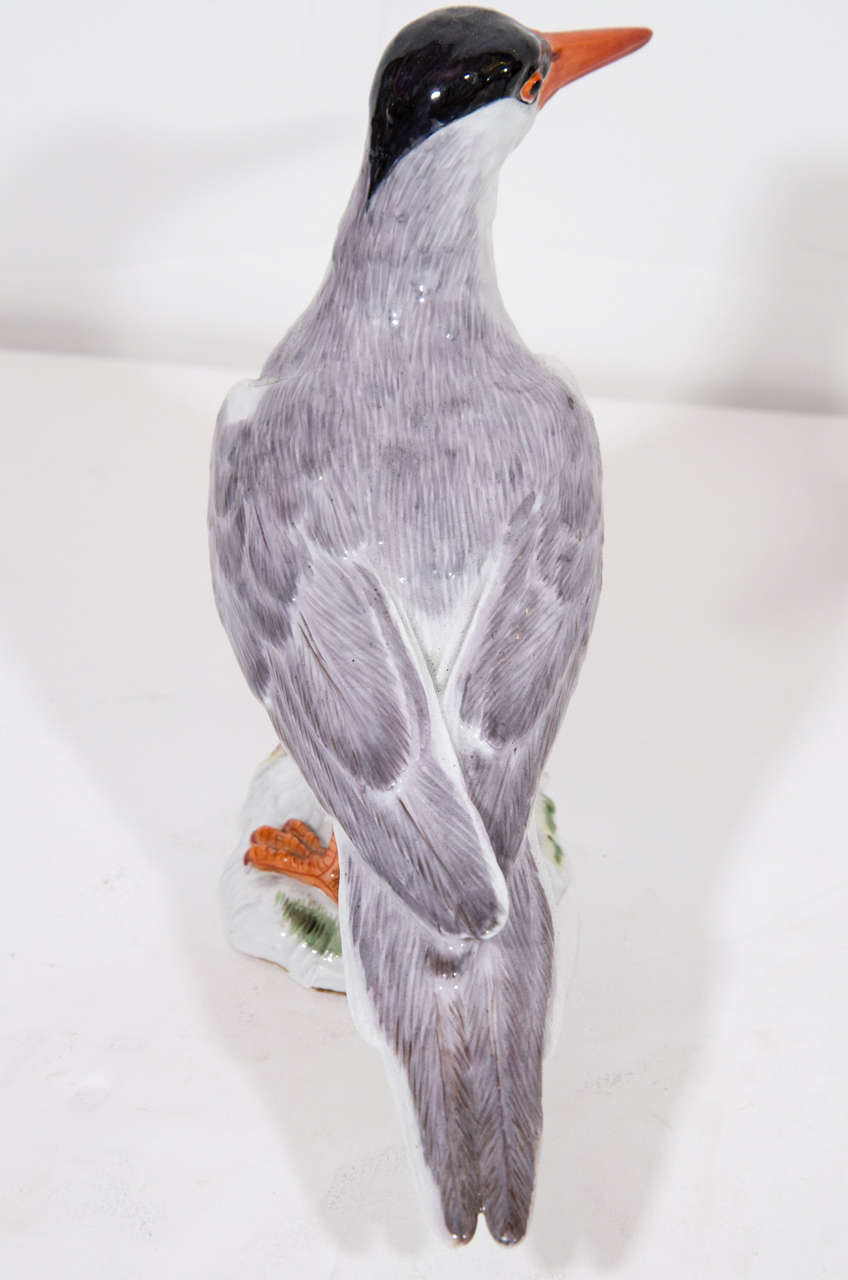 Pair of Superb Antique Meissen German Porcelain Birds In Good Condition For Sale In New York, NY