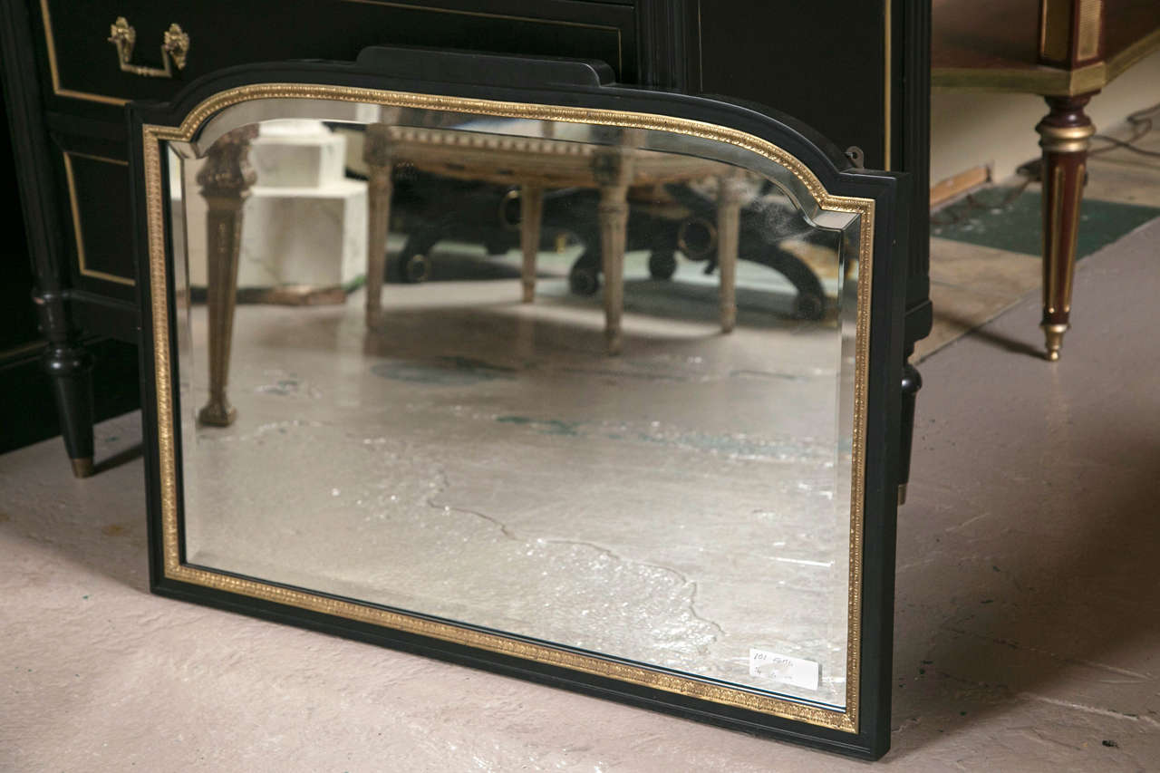 Ebonized and bronze framed mirror in a wonderfully unique shape. The beveled glass adds to the intricacies of the bronze patterned frame that surrounds the fabulous mirror. Used in traditional or modern spaces, this unique mirror adds dimension and