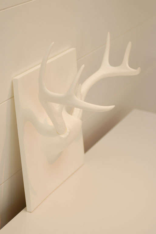 White Deer Antler
