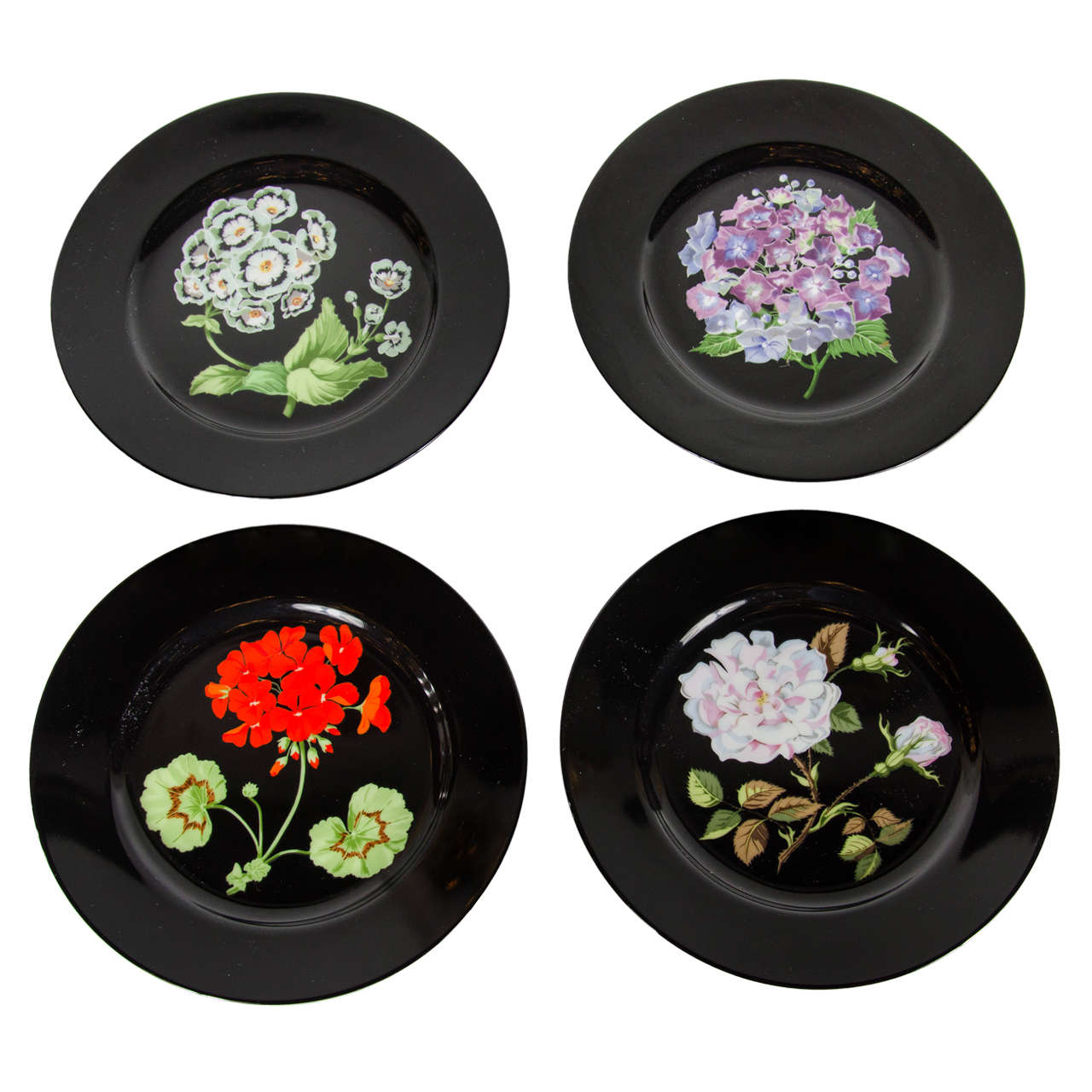 Set of Four Plates for Tiffany 
Co., "Mrs Delany
s Flowers" by Sybil Connolly