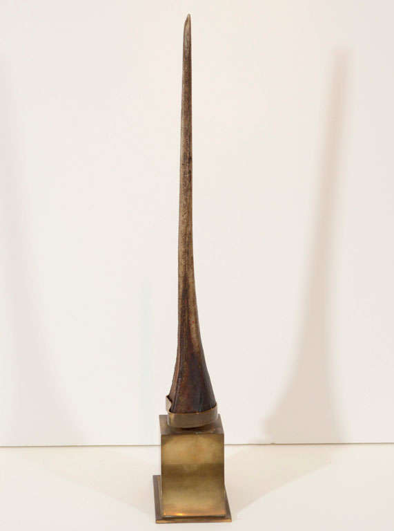 An antique marlin bill mounted on a shaped bronze base