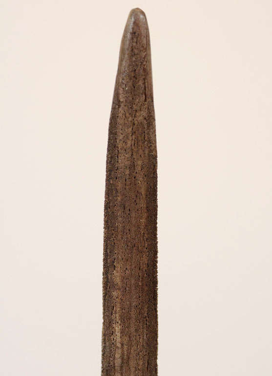 A Marlin Bill Mounted On A Bronze Base 1