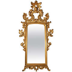 19th Pair of Venetian Mirrors in Gilt Wood