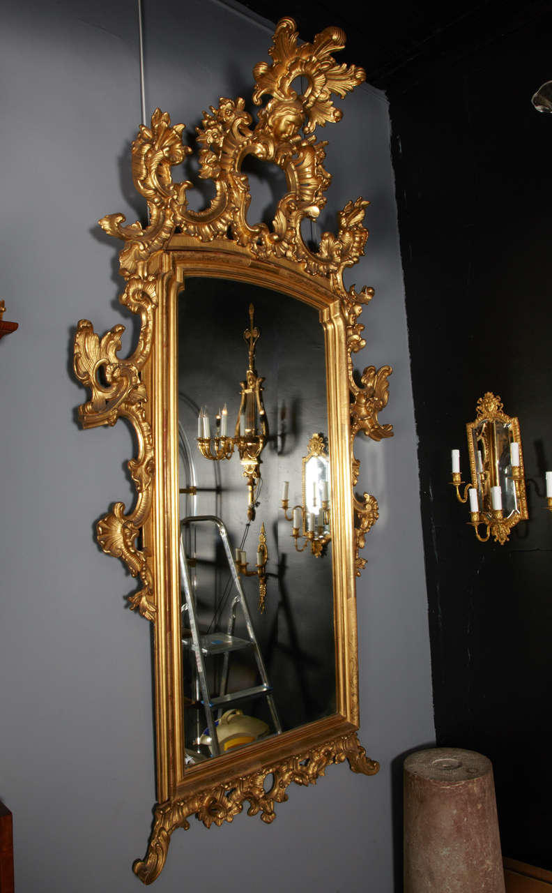 19th Pair of Venetian Mirrors in Gilt Wood 1