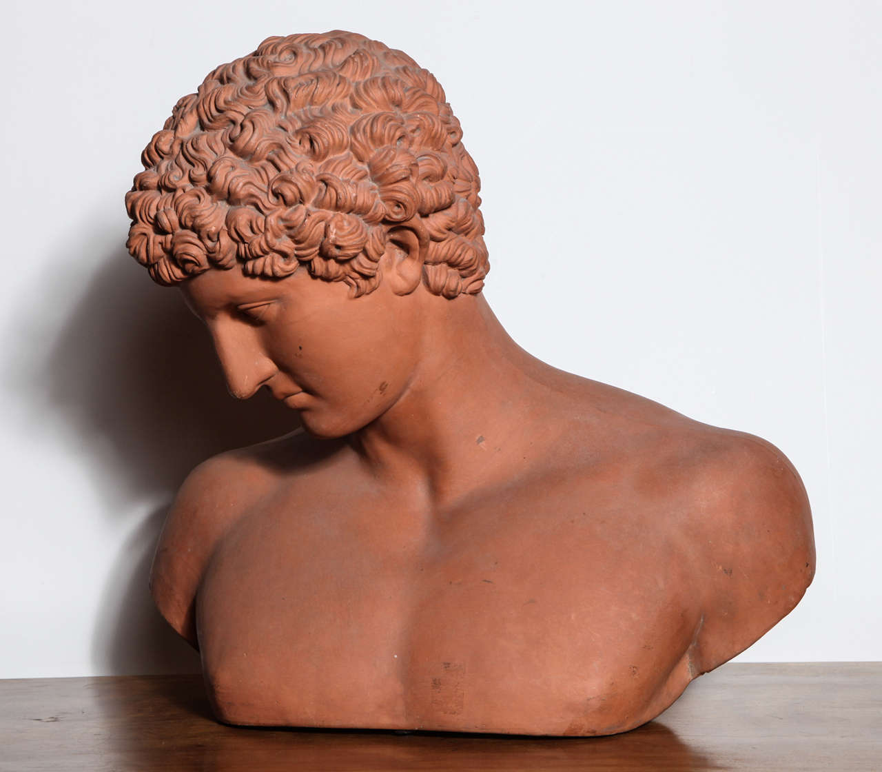 Unknown 19th Century Terra Cotta Bust of Antinous For Sale