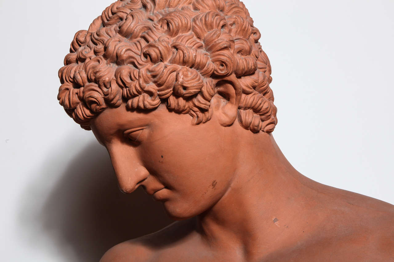19th Century Terra Cotta Bust of Antinous In Good Condition For Sale In New York, NY