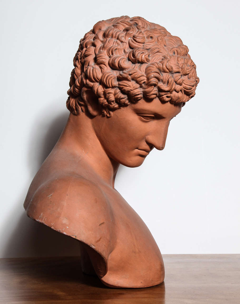 19th Century Terra Cotta Bust of Antinous For Sale 1