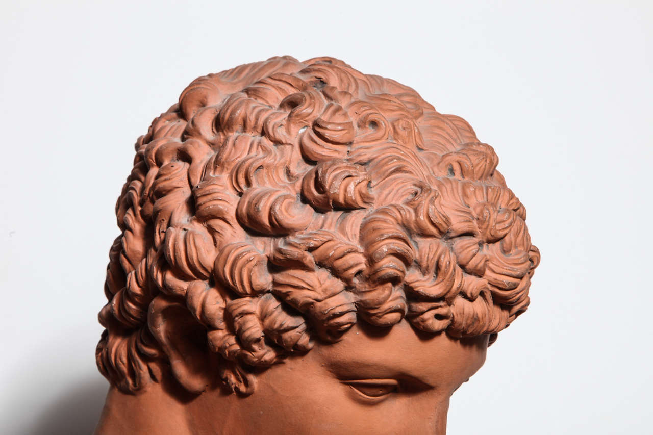 19th Century Terra Cotta Bust of Antinous For Sale 2