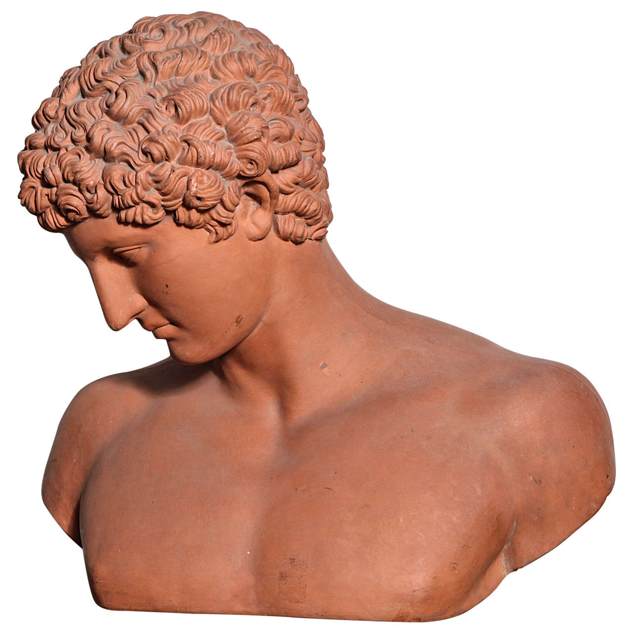 19th Century Terra Cotta Bust of Antinous For Sale