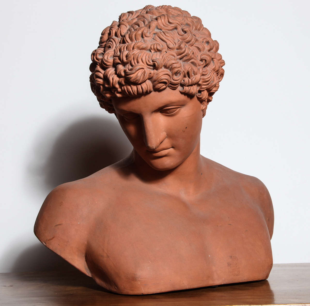 19th Century Terra Cotta Bust of Antinous For Sale at 1stDibs ...