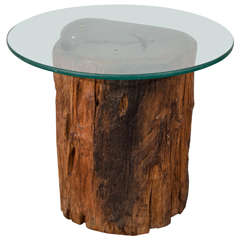 Antique Petrified Tree Trunk Side Table with Glass Top