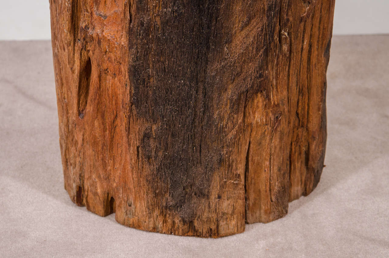 Antique Petrified Tree Trunk Side Table with Glass Top at 1stDibs