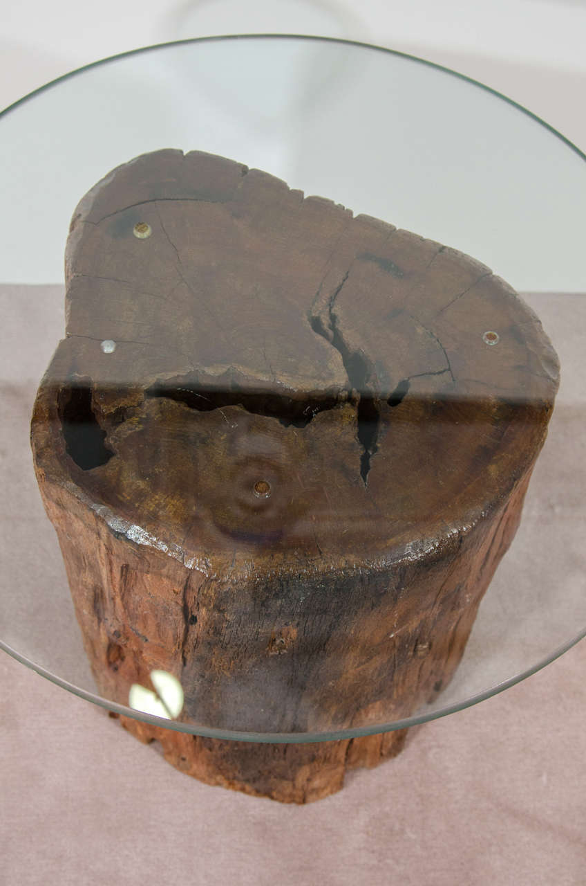 Antique Petrified Tree Trunk Side Table with Glass Top at 1stDibs