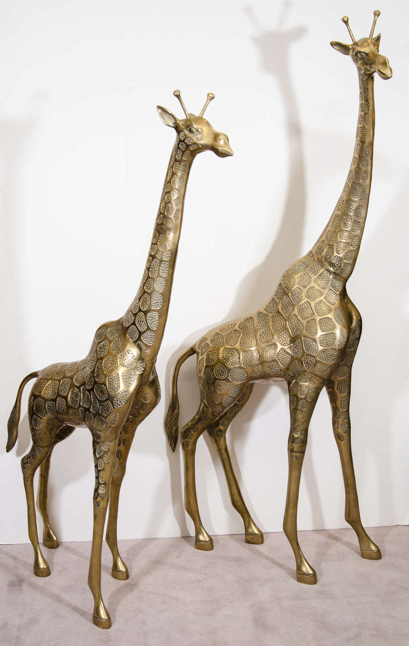 A pair of large scale brass sculptures of standing giraffes. Good vintage condition with age appropriate wear; some scratches

Taller: 55