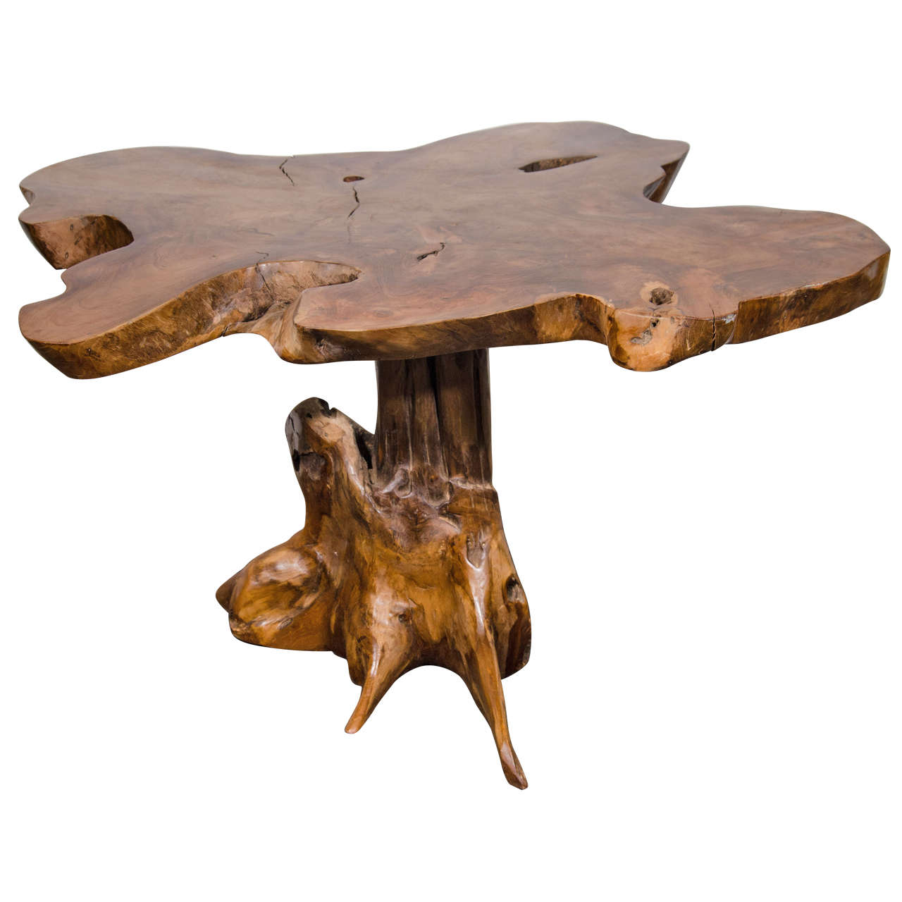 A Mid Century Live Edge Tree-Root Side Table