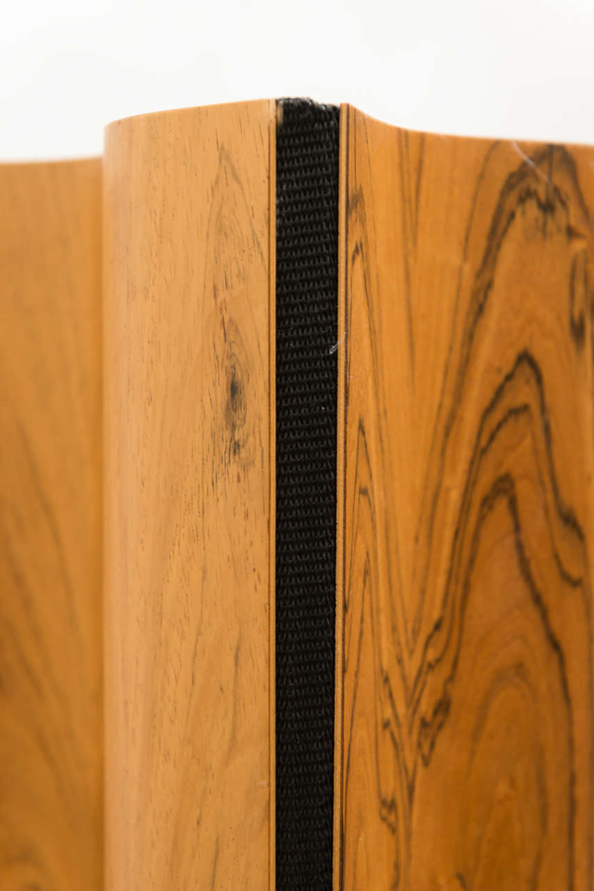 Plywood Eames Herman Miller Screen in Rosewood For Sale