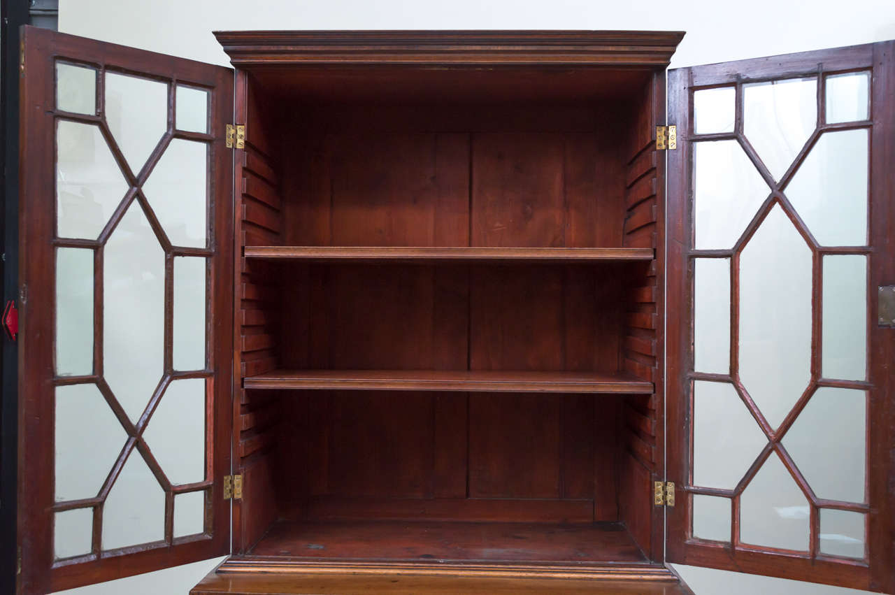 19th Century Regency Style Bookcase Cabinet of Diminutive Scale 1