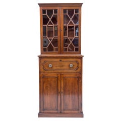19th Century Regency Style Bookcase Cabinet of Diminutive Scale