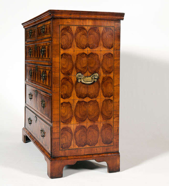A stunning George III oyster burl yew wood chest of drawers with two drawers over four drawers. The top, sides and front are presented with wonderful oyster burl, with string inlays of ebony and satinwood, and banded in walnut. Very nice quality