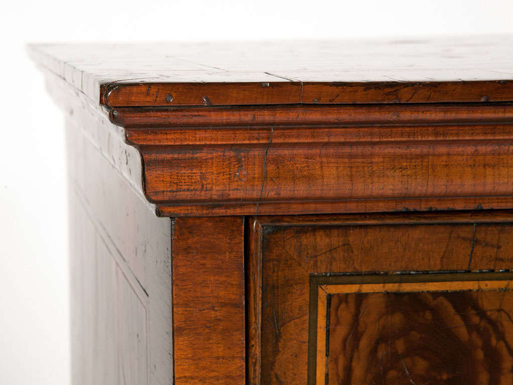19th Century George III Oyster Burl Yew wood Chest Of Drawers