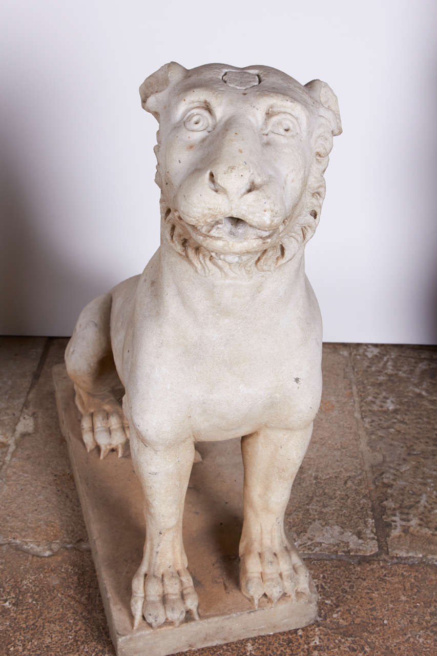 18th Century and Earlier 18th Century Italian Marble Lions For Sale
