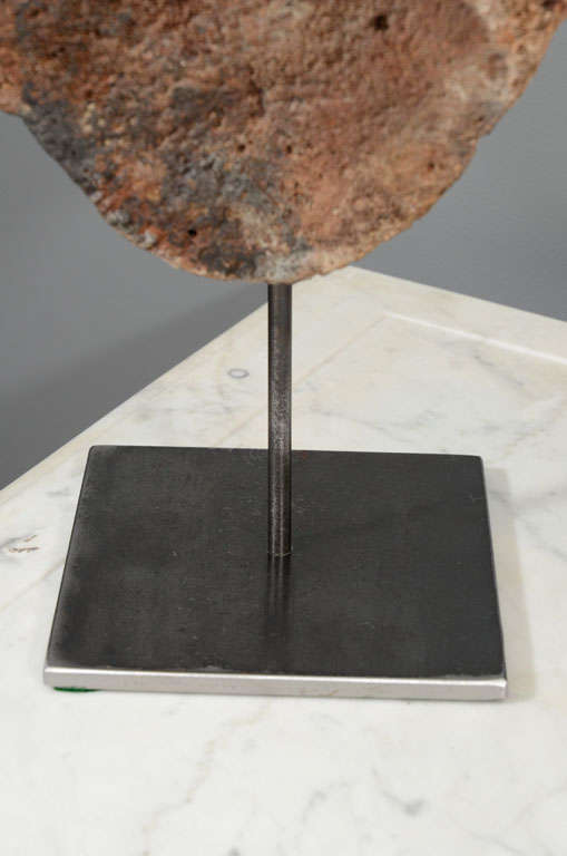 Ancient Whale Bone/Vertebra on stand For Sale 3