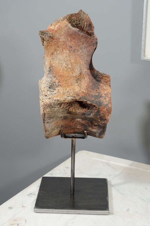 Unknown Ancient Whale Bone/Vertebra on stand For Sale