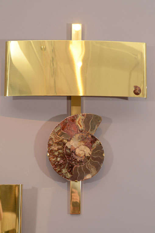 American Pair of Important Ammonite and Brass Wall Lights/ Sconces For Sale