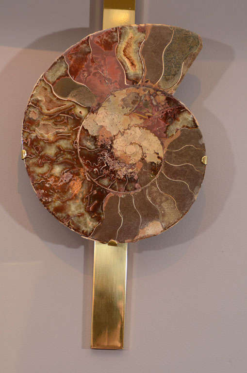Pair of Important Ammonite and Brass Wall Lights/ Sconces In Good Condition For Sale In East Hampton, NY