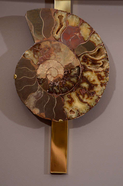 Pair of Important Ammonite and Brass Wall Lights/ Sconces For Sale 3