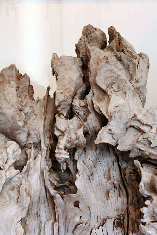 18th Century and Earlier Driftwood