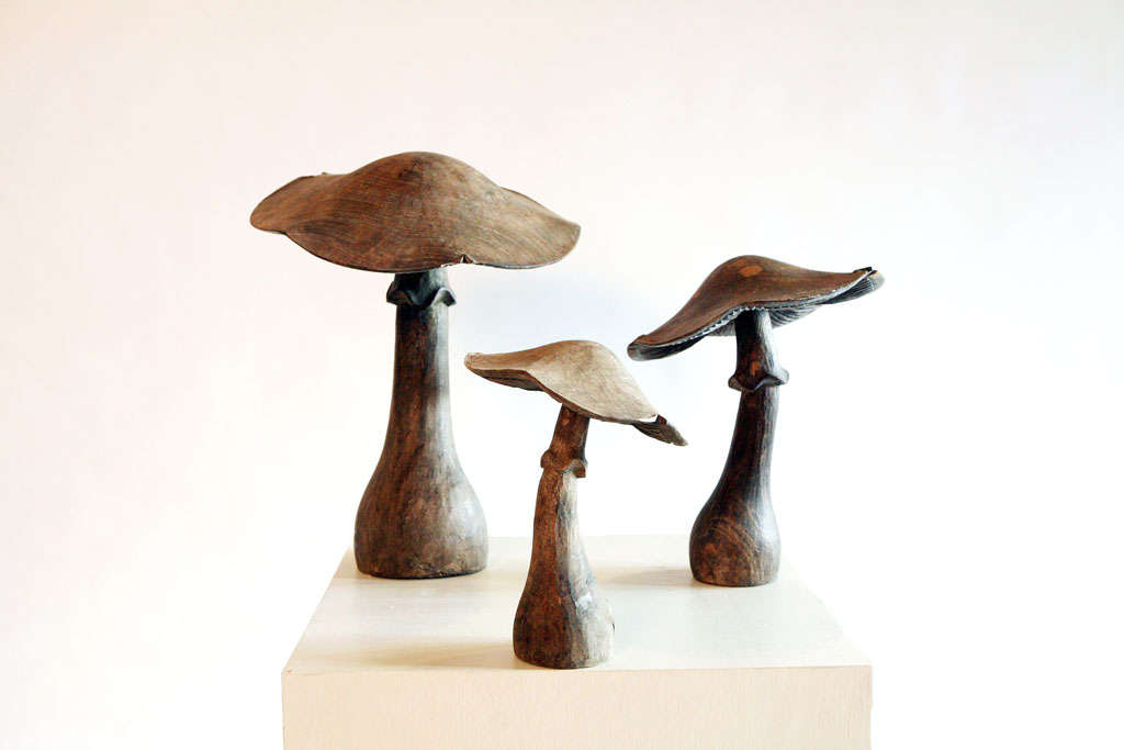 Carved walnut mushrooms in varying sizes; Large mushroom - 20