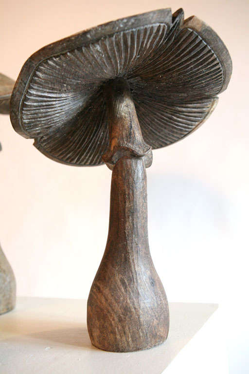 French Three Carved Wood Mushrooms