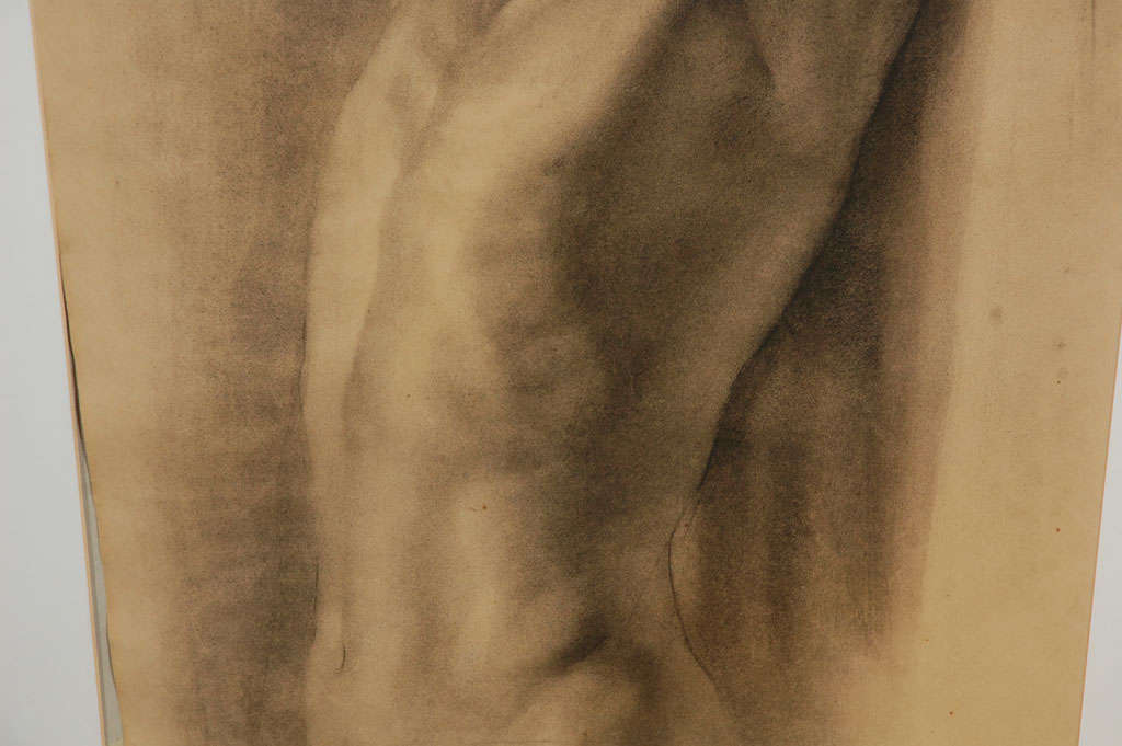 Charcoal Drawing Of Male Nude For Sale 1