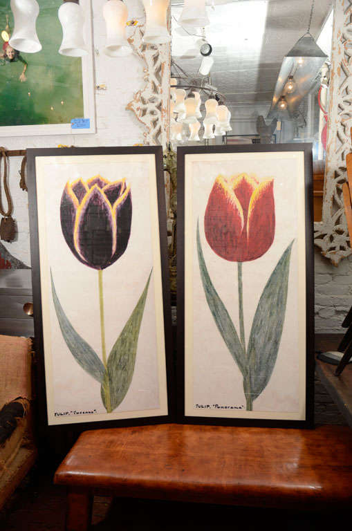 Dutch Tulip Prints, Framed Pair 4