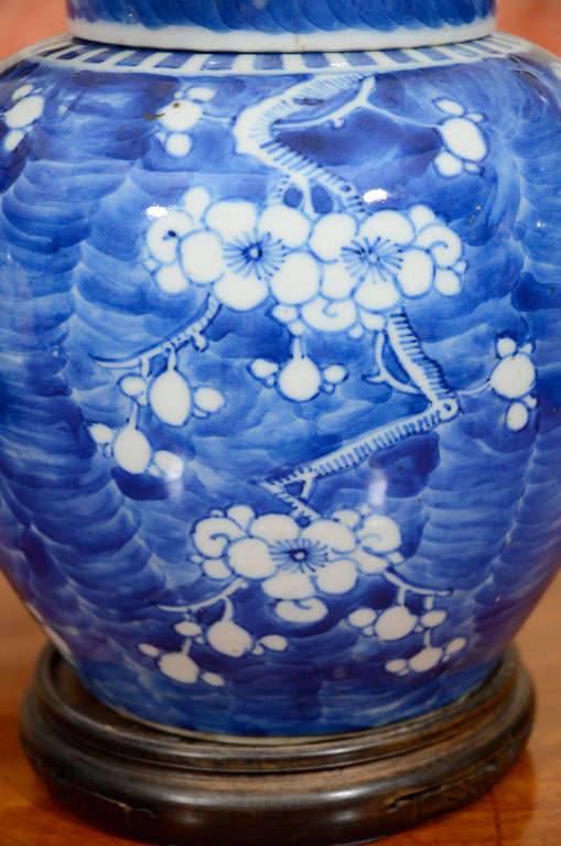 19th Century One Chinese Ginger jar in the Hawthorne pattern. For Sale