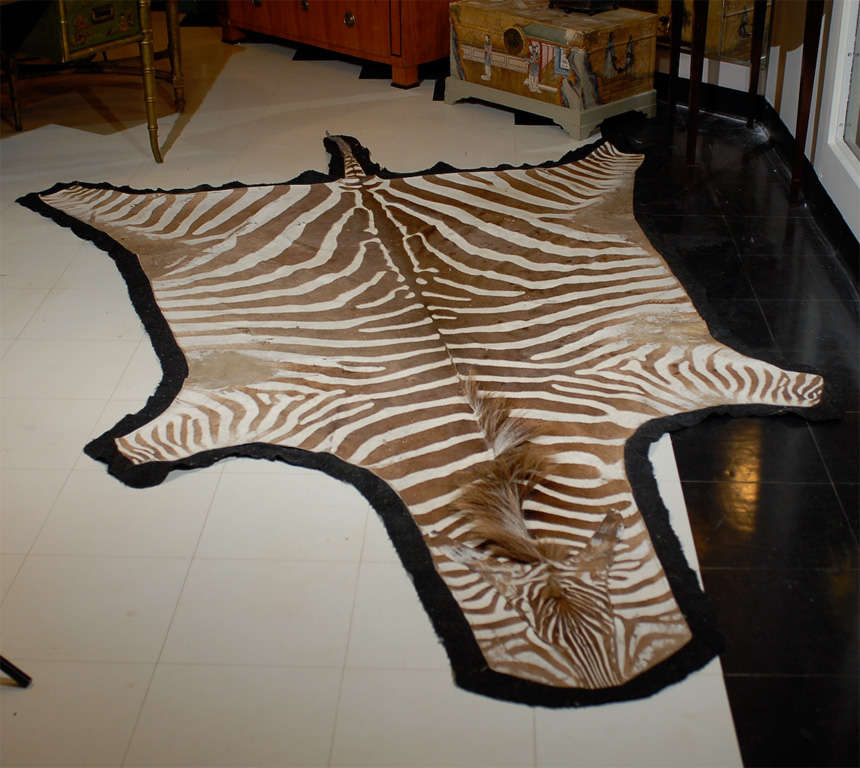 Vintage Brown and White Zebra Hide Rug