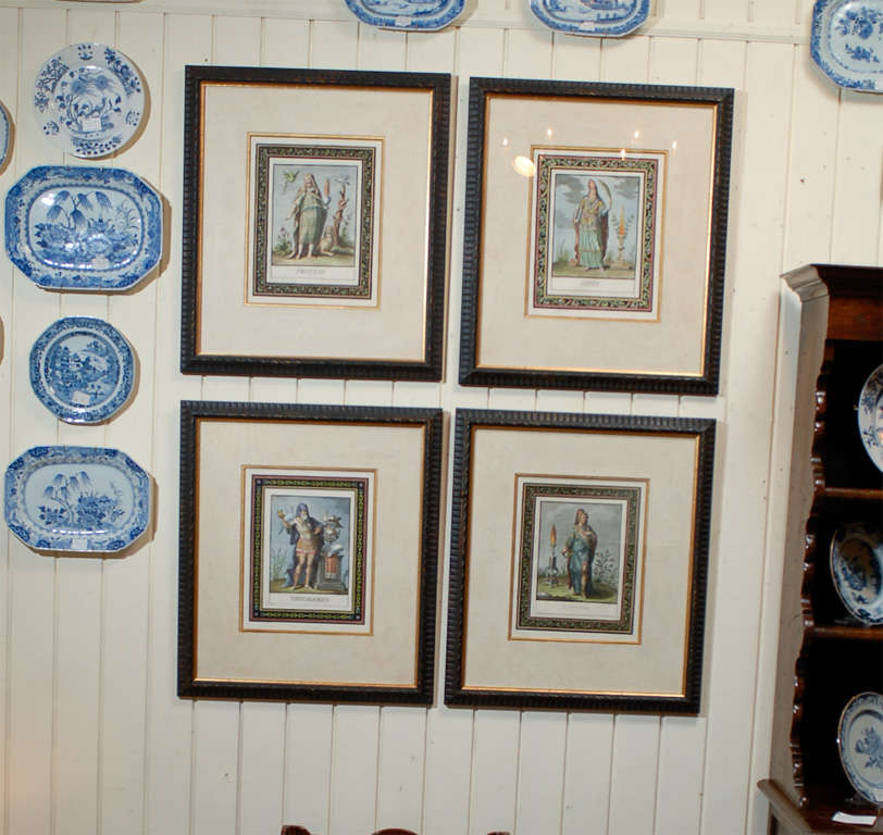 Hand Colored Copper Engravings