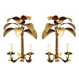 pair of italian  "palm tree" gilded metal two light wall sconces