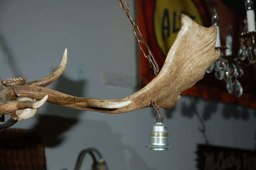 Rustic Elk Horn Three Light Chandelier For Sale