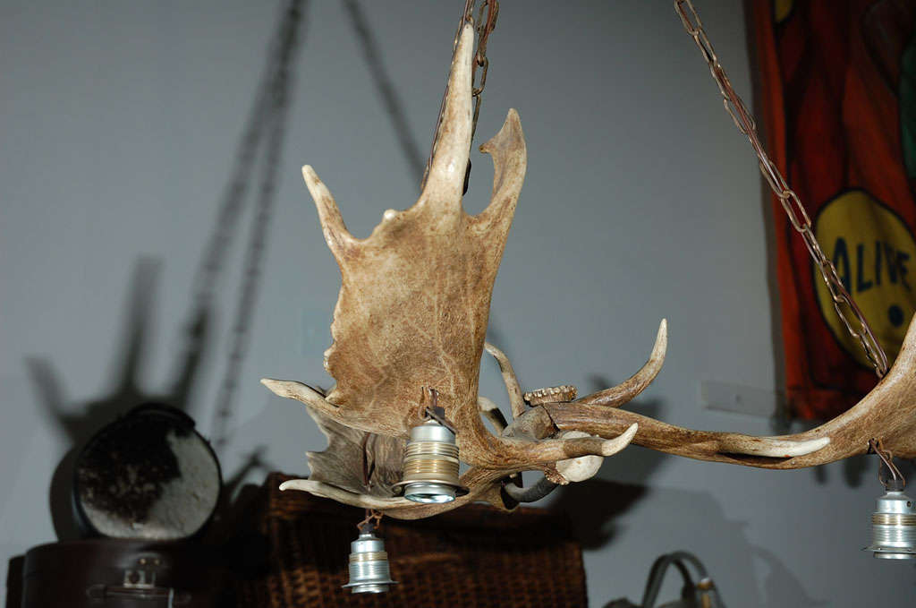 German Elk Horn Three Light Chandelier For Sale