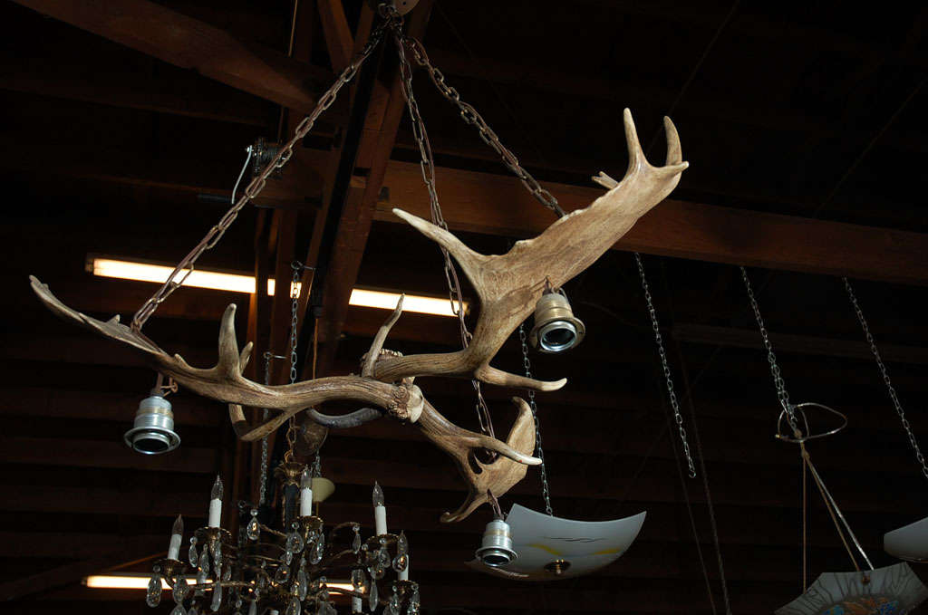 Mid-20th Century Elk Horn Three Light Chandelier For Sale