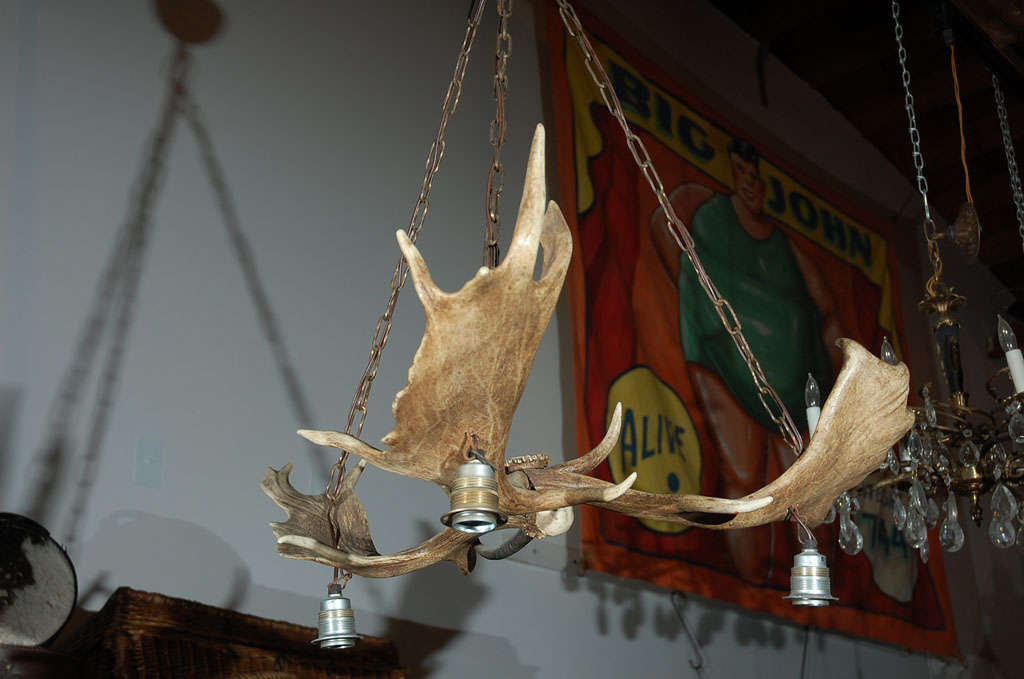 An elk horn chandelier, thought to be from Germany, circa 1930's. A good fixture for those sporty, rustic, mountain, western, or cabin type settings. 