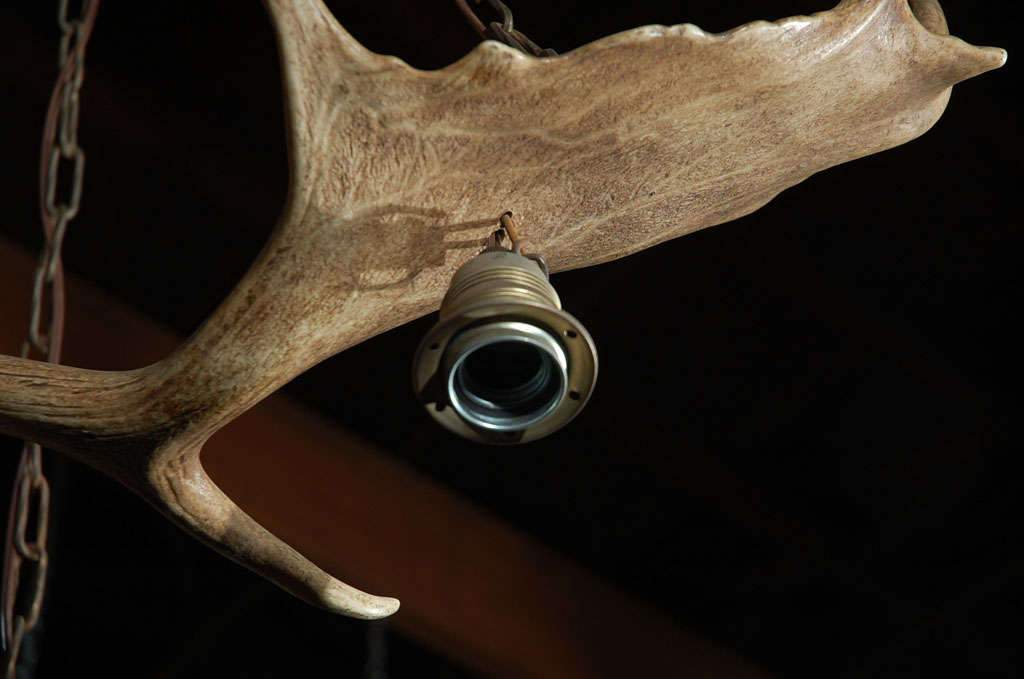 Elk Horn Three Light Chandelier For Sale at 1stDibs