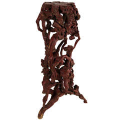 Rhododendron Root Stand