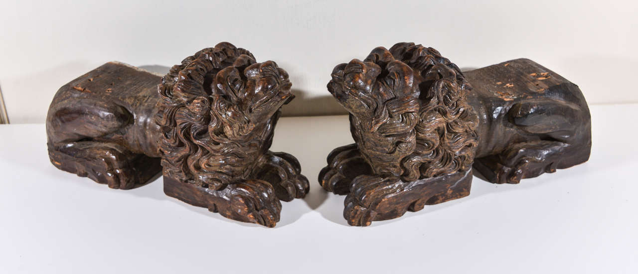 Pair of heavily carved wood lions in walnut stain color. Varied uses such as bookends or wall brackets to support a console. They equally work as well displayed on a table top or mantle.
