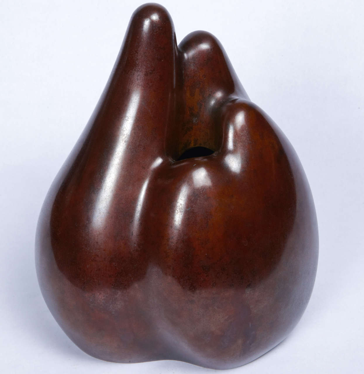 20th c. Japanese Bronze Vase