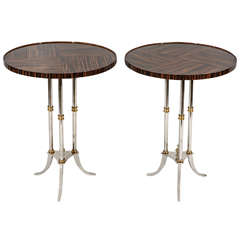 Fine Pair of Macassar Ebony Drink Tables